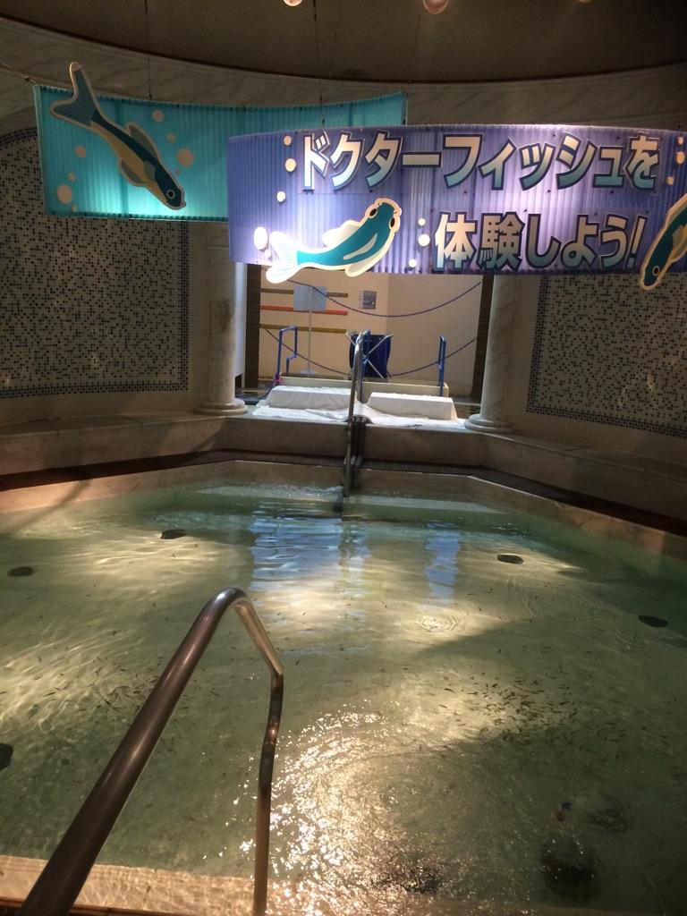 ドクターフィッシュの紹介 スタッフブログ 公式 箱根温泉 箱根旅行なら箱根小涌園ユネッサン