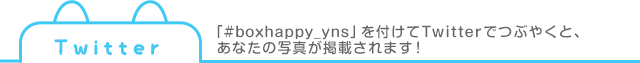 Twitter 「#boxhappy_yns」を付けてTwitterでつぶやくと、あなたの写真が掲載されます！