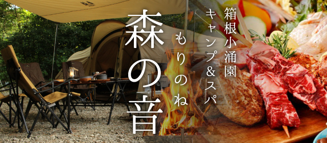 森の音