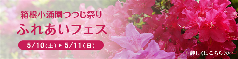 つつじ祭りふれあいフェス